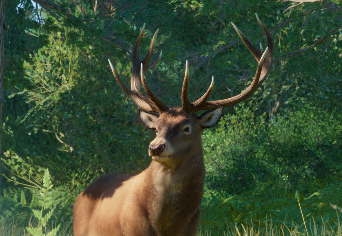 Red Deer Planet Zoo