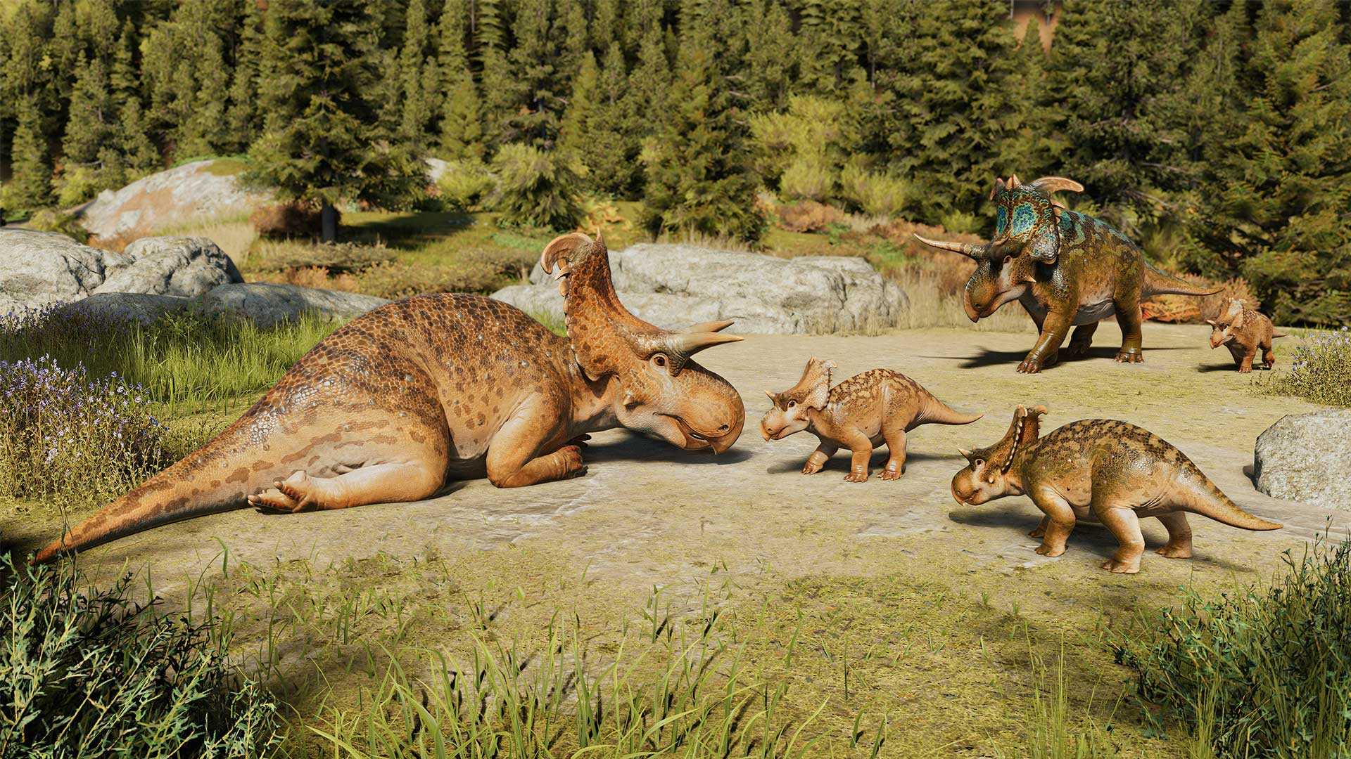 Lokiceratops